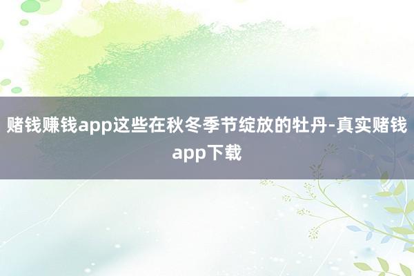 赌钱赚钱app这些在秋冬季节绽放的牡丹-真实赌钱app下载