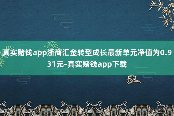 真实赌钱app浙商汇金转型成长最新单元净值为0.931元-真实赌钱app下载